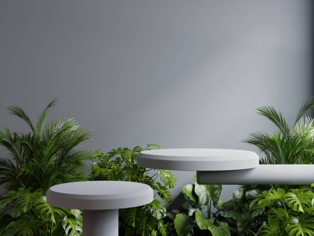 istock Two blue podium in tropical forest for product presentation and dark background- 3D rendering 2148085150
