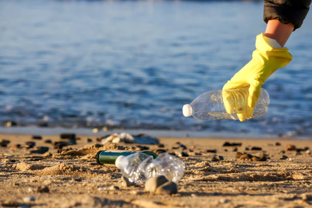 istock Person wearing glove picking up plastic bottles beach 2148085320