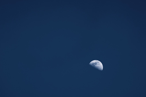 Half moon at blue hour without couds copyspace blue sky
