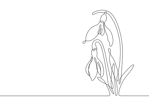 Single continuous line drawing of a beautiful spring ephemeral snowdrop flower. This vector illustration has an editable stroke for easy editing and copy space for text placement.