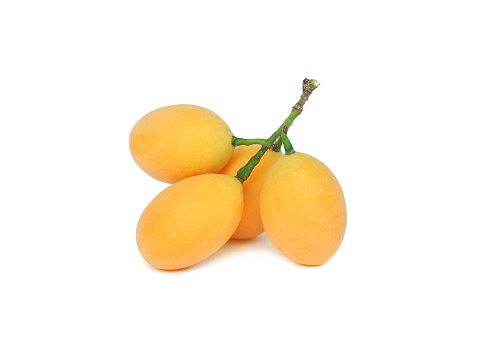 Fresh yellow organic sweet maprang  Sweet or sour fruit also called Marian Plum, isolated on white background.