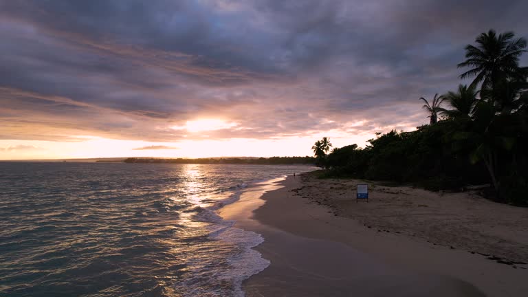 Aerial drone shot alone sandy beach with Caribbean Sea during stunning golden sunset behind cloudscape. Silhouette of palm trees at shoreline. Forward flight.,