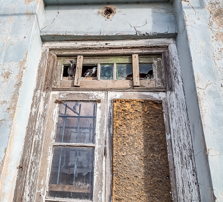 Old and dilapidated door, with two pigeons inhabiting its transom.