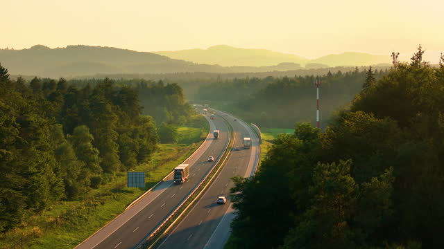 AERIAL: Highway leads through beautiful wooded landscape dappled in golden light