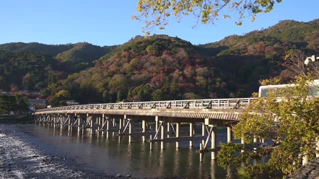 Togetsukyo Bridge and beautiful colorful leaves in the Autumn Season.