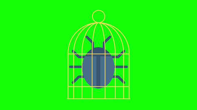 Bug. A beetle in a cage. Detection, neutralization, confinement, and neutralization of malicious programs and applications. Software error. Bug, mistake. 2d flat animation. Alpha channel. Chroma key