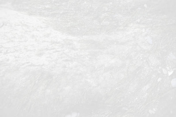 Horizontal picture of blank empty creative aded bleached color effect textured uneven rough dried grayscale marbled effect discoloured rock texture gray background with abstract fractal pattern