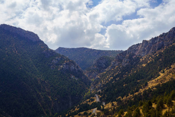 Mountains covered with grass and trees and cloudy dramatic sky on a daytime in Zaamin reserve. Mountain landscape.