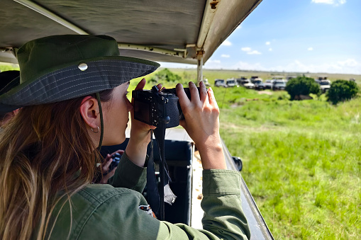 A tourist photographs a wild lion during a safari tour in Kenya and Tanzania. Concept Travel and adventure through wild Africa. A woman with a camera in an open-top safari car is traveling in Africa.