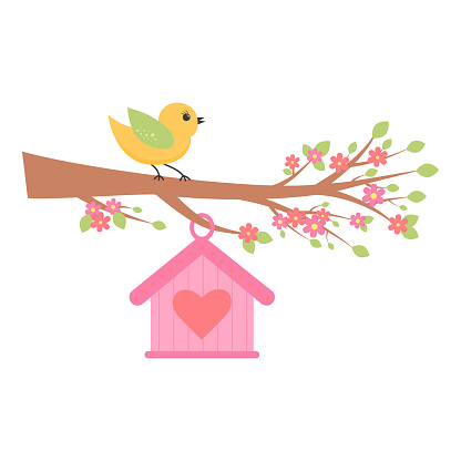 Cute bird siiting on the flower blooming branch and birdhouse hanging. Springtime concept.