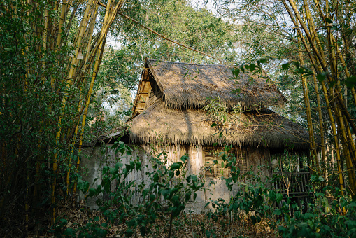 rainforest bungalow