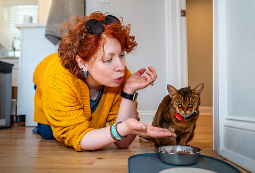 Mature woman with ginger hair is hand-feeding her Abyssinian cat. The cat is attentively and seriously looking at the camera.