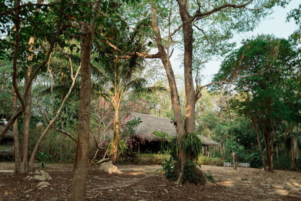 istock Eco Tourism in Southeast Asia 2148098539