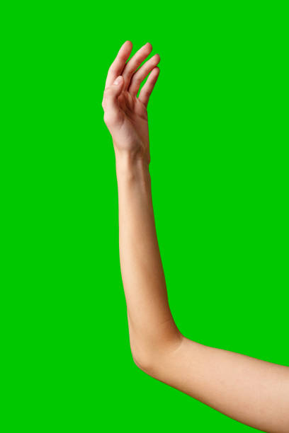 istock Hand Reaching Up on Green Background 2148098947