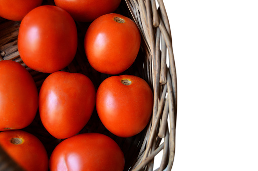 Cut out of heap of many several red ripe tomatoes in a brown wooden wicker basket isolated over horizontal transparent white background leaving copy space, apt for vegetables, vegetarian food farmers' market related posters, backdrops
