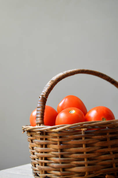 Four red ripe tomatoes in a brown wooden wicker basket with handle over grey background leaving copy space, apt for vegetables, vegetarian food farmers' market related posters, backdrops.