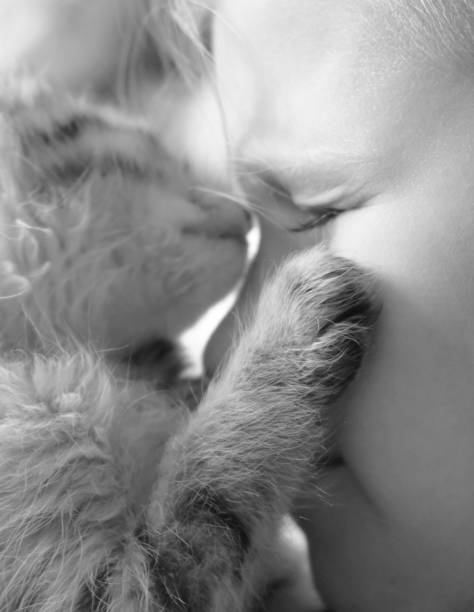 pets, comfort, rest and people concept - Beautiful smiling woman with a kitten in her arms, studio picture, close-up