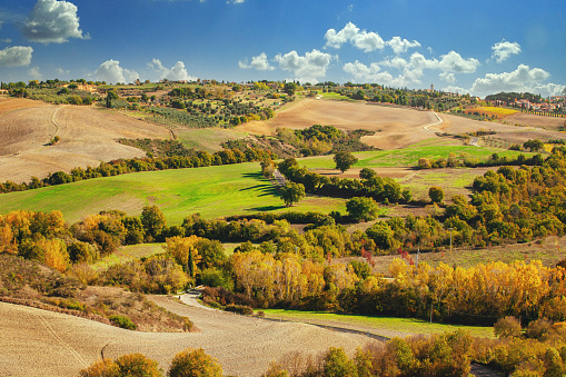 In the autumn landscape of Tuscany, Italy, plants yield to the changing season, making way for a different kind of beauty to unfold across the rolling hills and valleys.