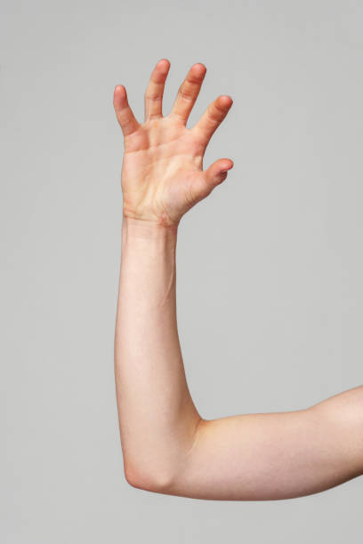 istock Elevated Bare Human Arm Bent at the Elbow Against a Neutral Background 2148101098