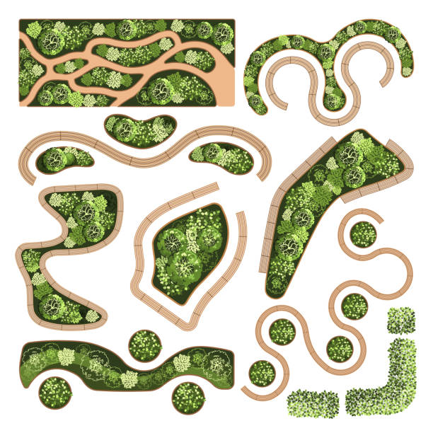 Tree Forest Entourage 570+ Top View Forest Floor Stock Illustrations, Royalty-Free Vector ...