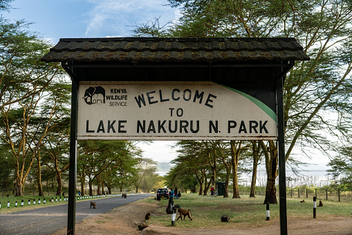 Kenya, Africa, 1st of February. 2024: Safari Land Entrance gate at Lake Nakuru National Park to see flamingos and rhinos