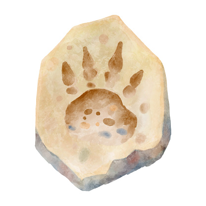 Dinosaur footprint in rock . Watercolor paint design . Vector .