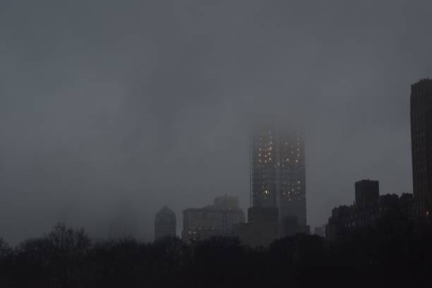 Dark Forestry in Foreground of Picture, with a Dimly Lit Skyscraper Behind and a Dense Fog Cascading Down on New York City
