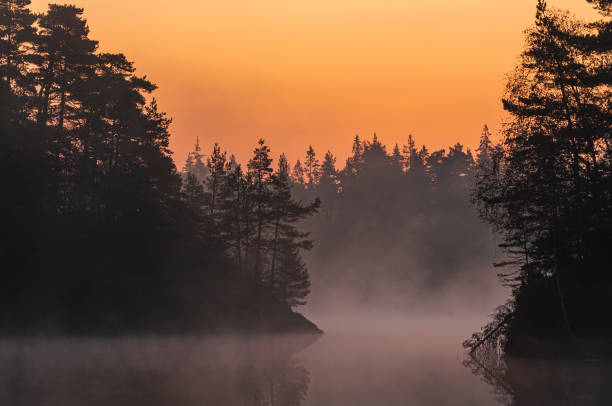 istock Forest and misty lake at sunrise 2148106367