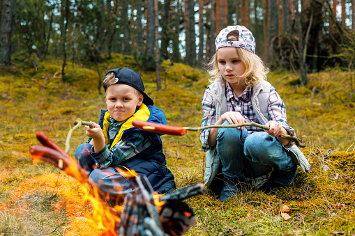 children frying sausages on skewers over a bonfire in forest. camping with kids. summer camp