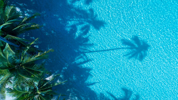 istock Summer palm tree  and Tropical beach with  Aqua waves and coconut palm shadow on blue background. 2148109503