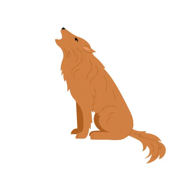 Vector illustration of The wolf sits and howls. Illustration in flat style on white background