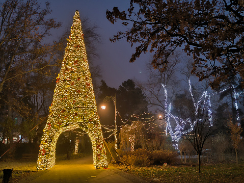 city park decorated with Christmas lights