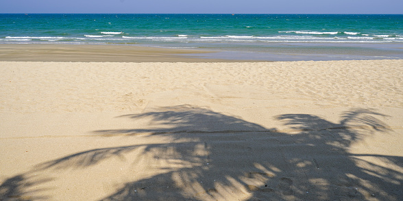 Palm leaf shadow on sand, top view, copy space  with summer background