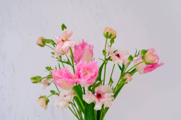 This is a photo of tulips and ranunculus