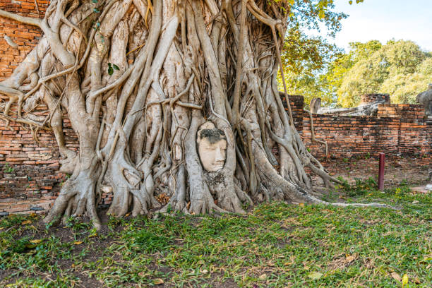 Wat Mahathat in Ayutthaya in Thailand.