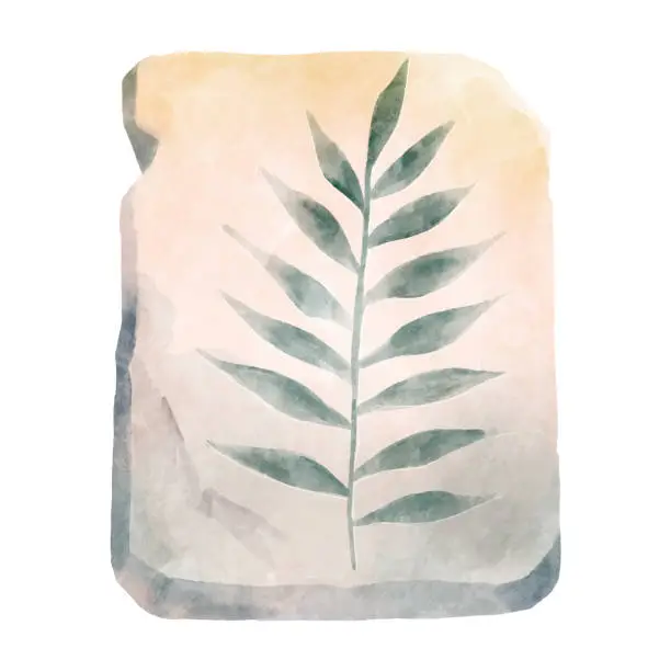 Vector illustration of Fossil of plant in rock . Watercolor paint design . Vector .