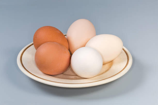 Whole boiled chicken eggs in the shells of different shades from white to brown on saucer on a gray background, side view in selective focus