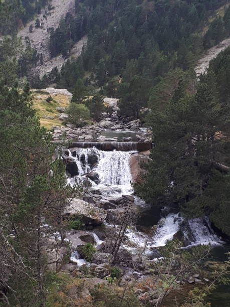 istock Mountain stream with small rapids, fir trees, and mountainside 2148121566