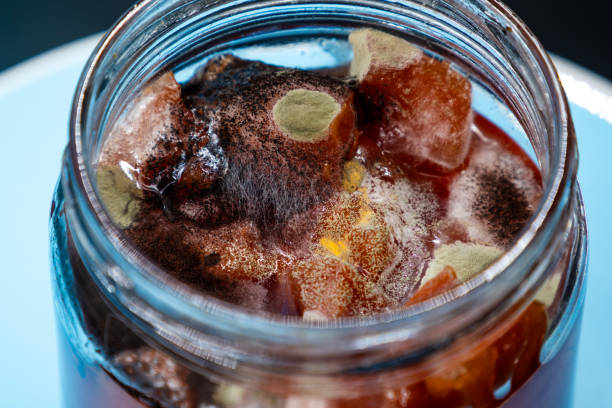 istock Transforming rotting food into abstract art 2148121825