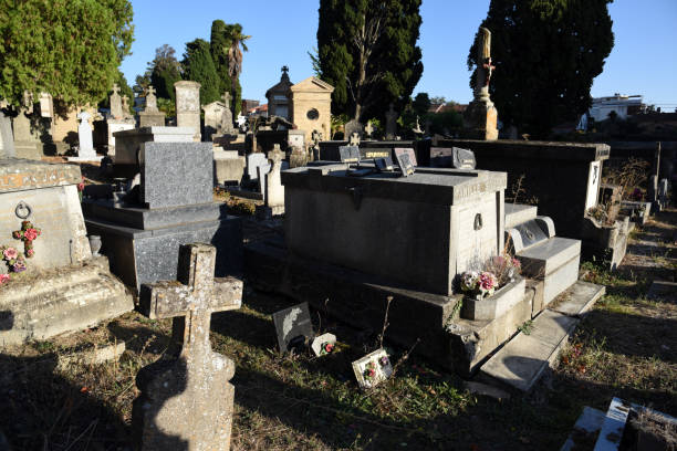 Terre-Cabade Cemetery in Toulouse stands as the largest cemetery in the region, sprawling across a 33-hectare area on the Jolimont hillside. The oldest part of the Cemetery was realized in 1840. The image shows several thombs, captured during autumn season.