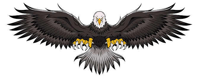 Eagle. Bald Eagle. National symbol of the USA. Stock Vector Image