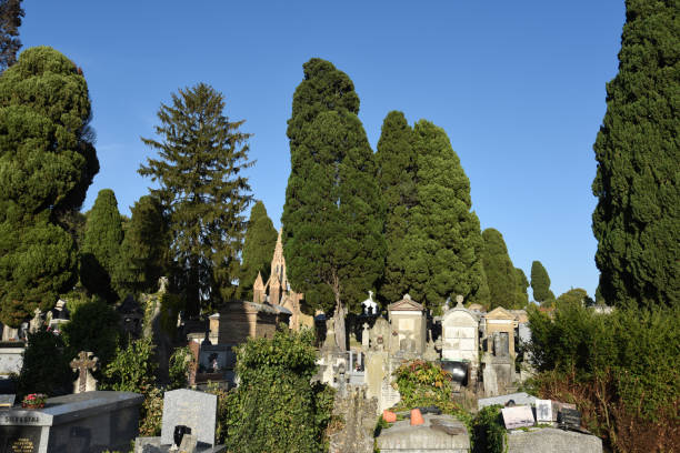 Terre-Cabade Cemetery in Toulouse stands as the largest cemetery in the region, sprawling across a 33-hectare area on the Jolimont hillside. The oldest part of the Cemetery was realized in 1840. The image shows aseveral thombs, captured during autumn season.