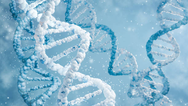 istock 3D render of DNA strands with light particles. Scientific concept of genetics and molecular biology. Detailed macro shot with bokeh effect and blue color palette. 2148124371
