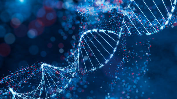 Sparkling DNA helix structure in blue and red. High-tech concept of genetic research, bioinformatics, and computational biology. Sparkling DNA helix structure in blue and red. High-tech concept of genetic research, bioinformatics, and computational biology. Design for science background, genomic study poster, and medical presentation. Abstract visualization with bokeh effect and dynamic particles. genetic research stock pictures, royalty-free photos & images