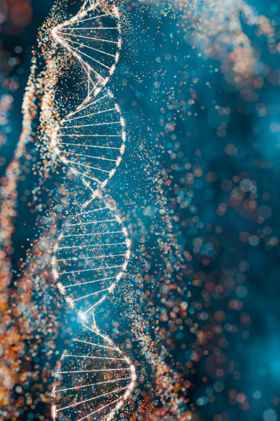 istock 3D illustration of a DNA molecule with sparkling effects symbolizing complexity and genetic diversity. Futuristic concept of genomics, precision medicine, and computational life sciences. 2148124384