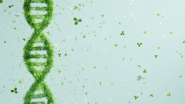 istock Green DNA double helix structure composed of leaves on a light blue background. Sustainable science and eco-friendly technology concept 2148124388