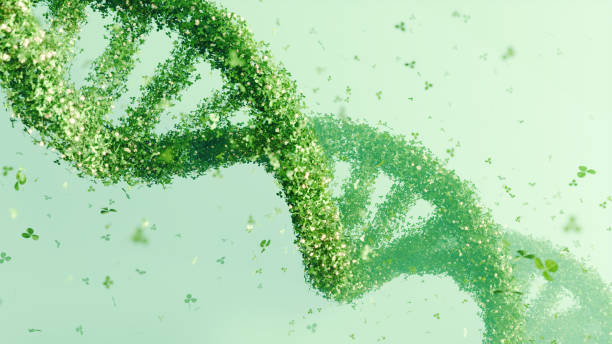 istock DNA double helix structure made of green leaves on a soft green background. Bioinformatics and green technology concept, eco-scientific design, environmental awareness 2148124389