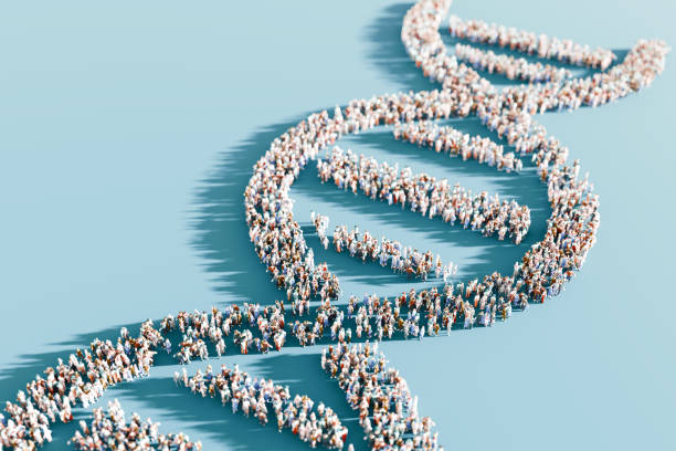 DNA double helix structure composed of human figures on a blue background with copy space. Public health and population genetics concept DNA double helix structure made of green leaves on a soft green background. Bioinformatics and green technology concept, eco-scientific design, environmental awareness genetic research stock pictures, royalty-free photos & images