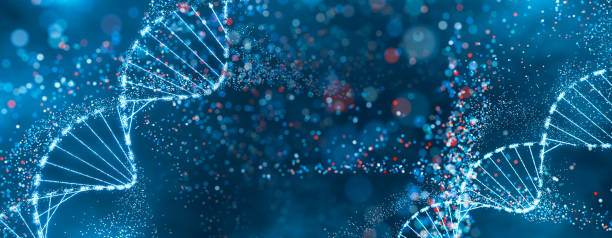 istock Sparkling DNA helix structure in blue and red. High-tech concept of genetic research, bioinformatics, and computational biology. Design for science background, genomic study poster, and medical presentation. 2148124394