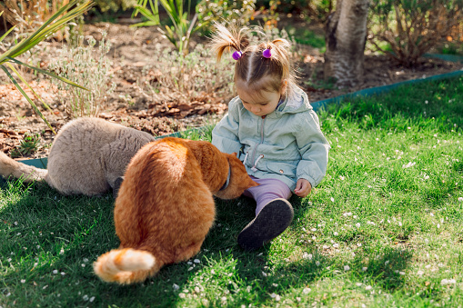 Beautiful child girl feed cats in spring backyard garden